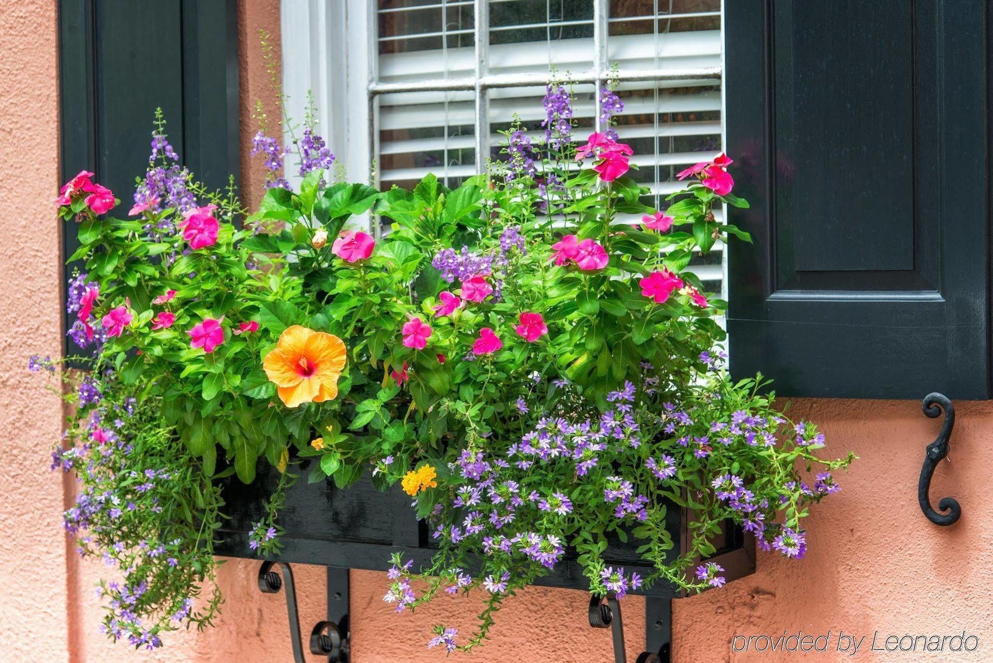 The Elliott House Inn Charleston Esterno foto